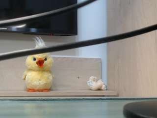 anabelluisa webcam