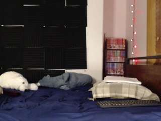 ivyintheparker webcam