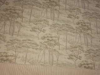 CelestineChakkalakal