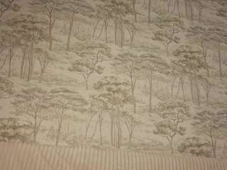 celestinechakkal... Live Webcam on CamSoda