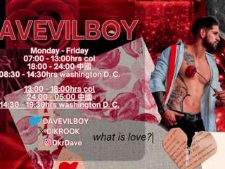 davevillboy