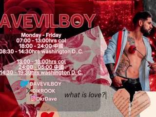 davevillboy
