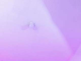 eily-wish