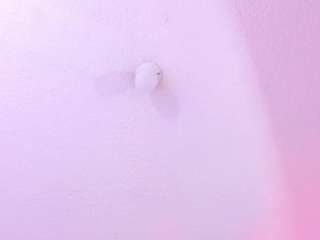 eily-wish