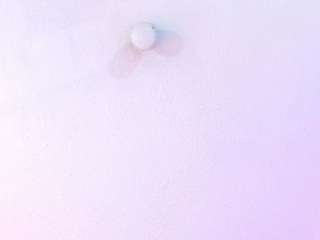 eily-wish