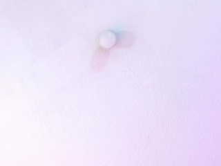 eily-wish