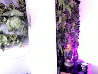 gabymansonn Profile Image