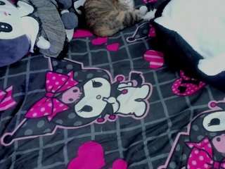 savyloly webcam