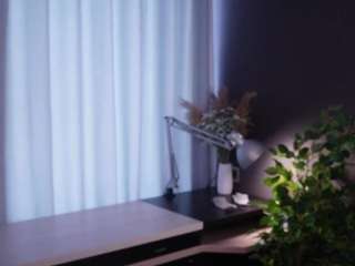 ninfastimple webcam