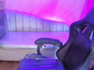 Agatha-Brooks-T live webcam show