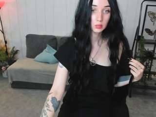 hollyvex