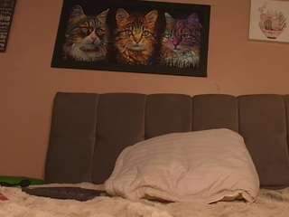 kattyykatt