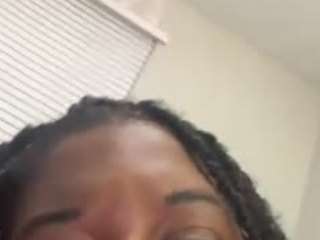 spoilmykittywet