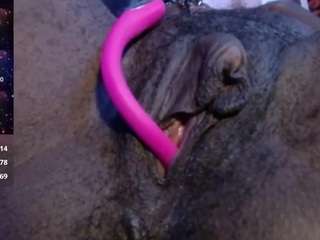 feralminx webcam