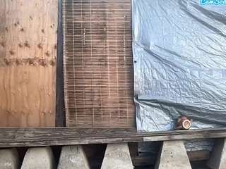 mrshyboy32 Live Webcam on CamSoda