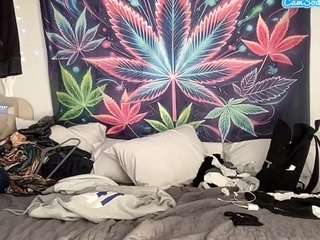 mrshyboy32's CamSoda show and profile