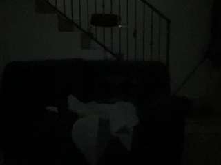 Mrshyboy32