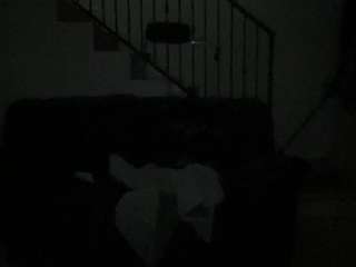 mrshyboy32
