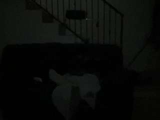 Mrshyboy32