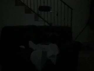 Mrshyboy32