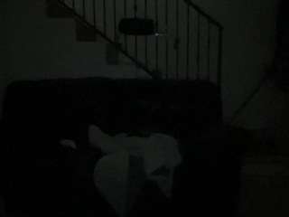 Mrshyboy32