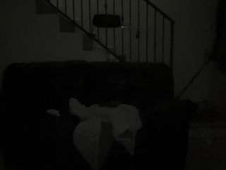 mrshyboy32