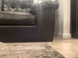 mrshyboy32