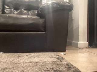 mrshyboy32
