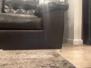 mrshyboy32