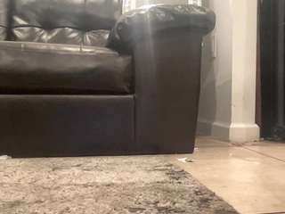 mrshyboy32
