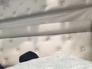 mrshyboy32