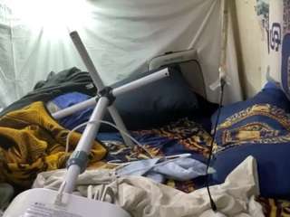 mrshyboy32 Sex Cam Show