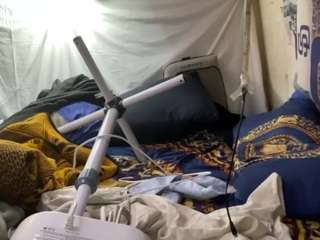mrshyboy32 Sex Cam Show