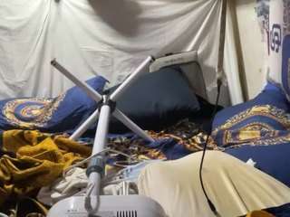 mrshyboy32 Sex Cam Show