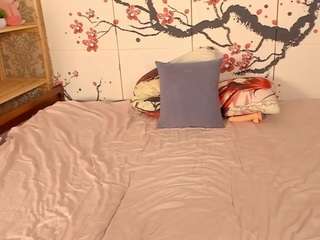milaplus webcam model