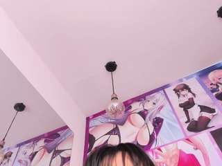 kyoko-bms webcam