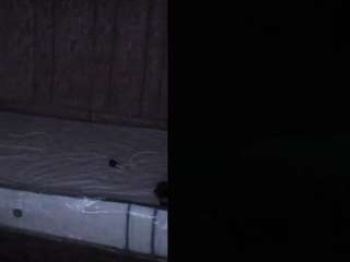 luciiacollins