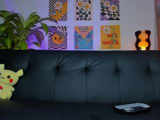 obzidyan webcam model