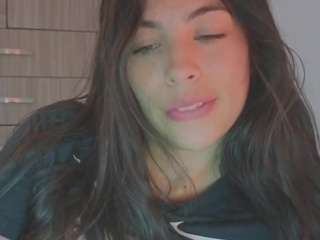 heylovek webcam