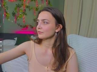 ann-perry webcam