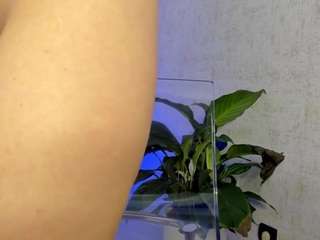 Devine_Alice