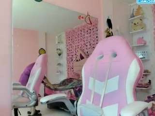 littlecat-1 webcam
