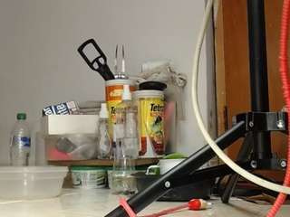 alexia1014