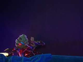 rubyrosa