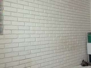 vernitabelluomini's live room