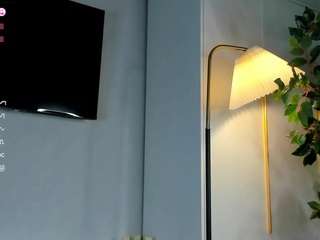 debbijonker webcam