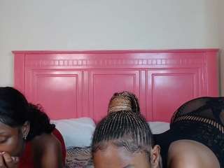 exoticassey