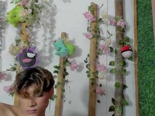 gaze-dream webcam model