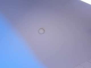 janneblossom webcam model