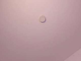 janneblossom Sex Cam Show